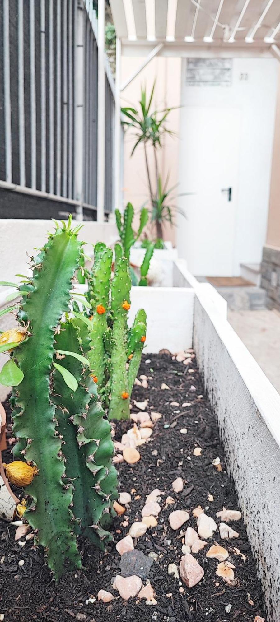 Ferienwohnung Bibliososta Anche Al 1° Piano Anno 2024 Ventimiglia Exterior foto